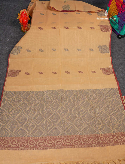 Pure Cotton Saree - Beige Colour Body Lines With Fancy Thread Work Buttas