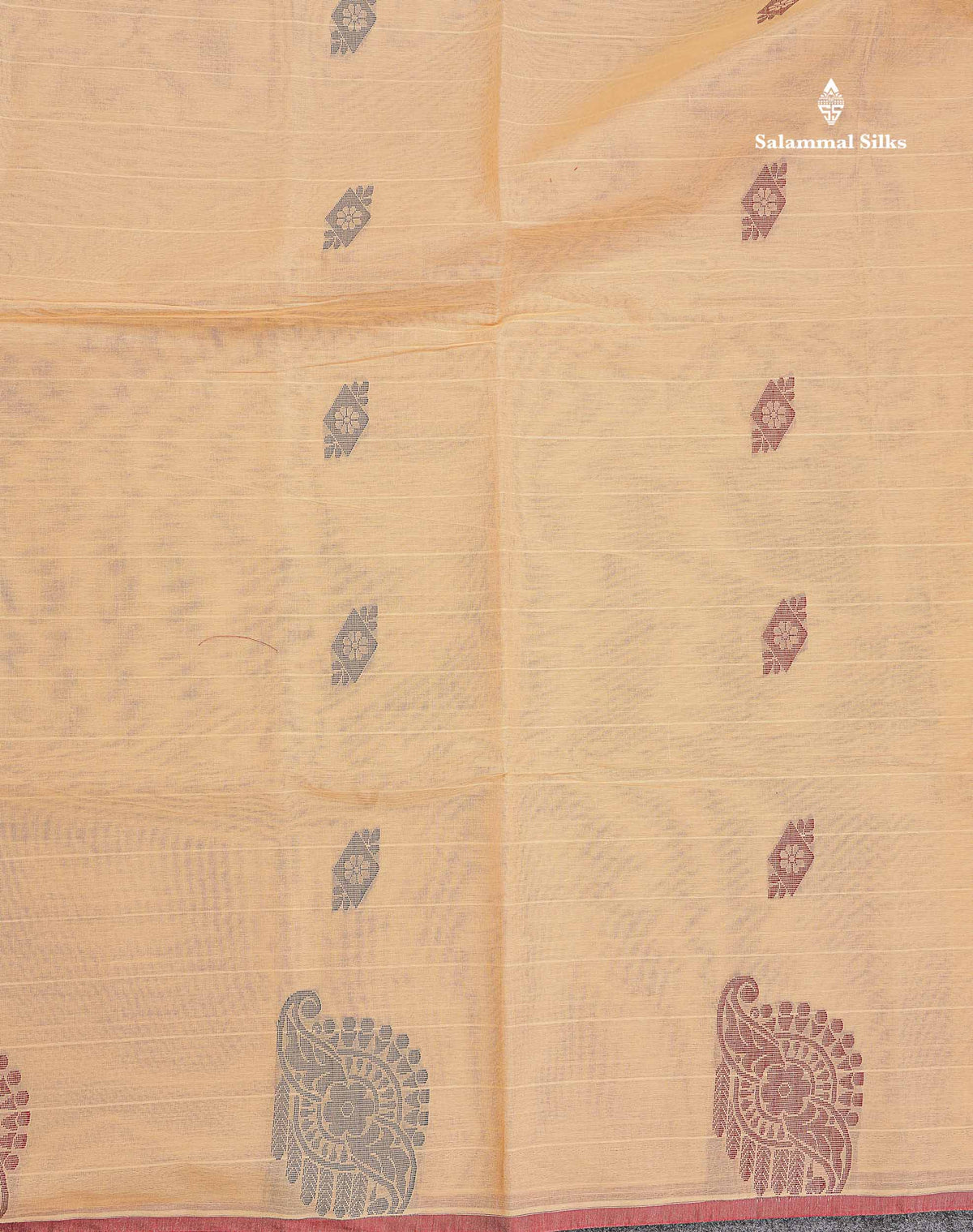 Pure Cotton Saree - Beige Colour Body Lines With Fancy Thread Work Buttas