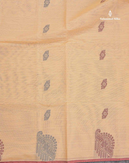 Pure Cotton Saree - Beige Colour Body Lines With Fancy Thread Work Buttas
