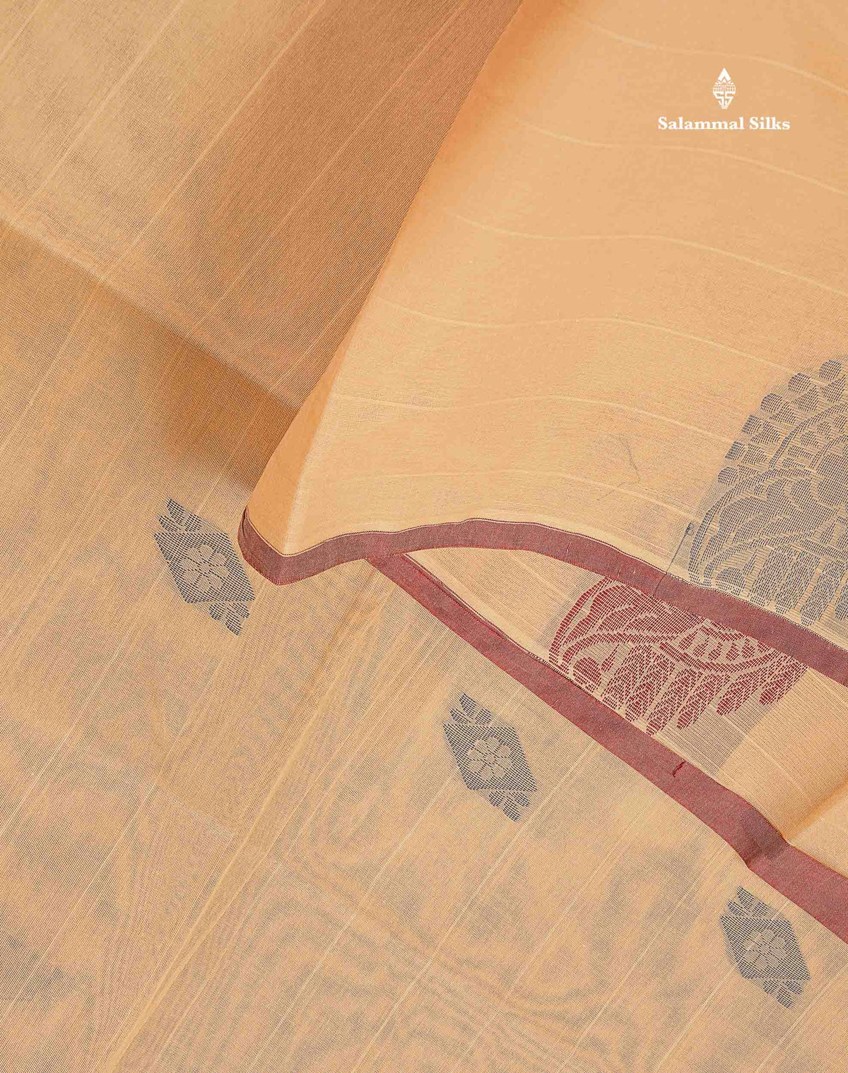 Pure Cotton Saree - Beige Colour Body Lines With Fancy Thread Work Buttas