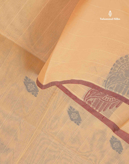 Pure Cotton Saree - Beige Colour Body Lines With Fancy Thread Work Buttas