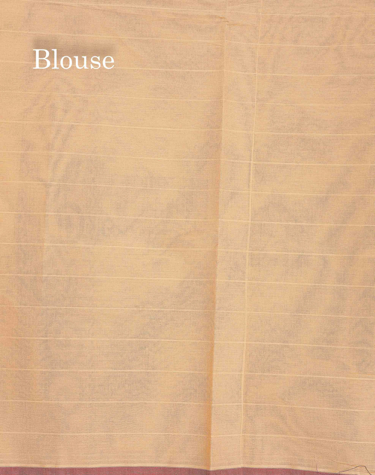 Pure Cotton Saree - Beige Colour Body Lines With Fancy Thread Work Buttas