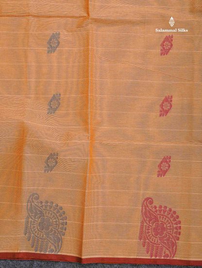 Pure Cotton Saree - Dark Sandal Colour Body Lines With Fancy Thread Work Buttas