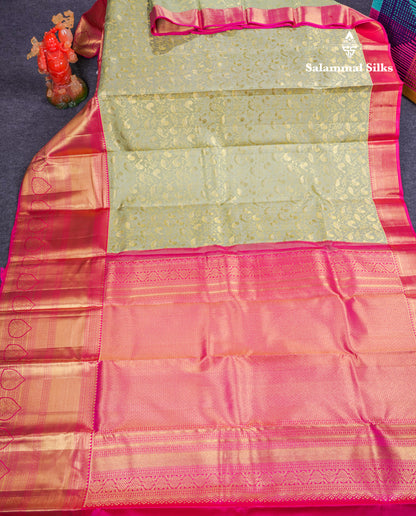 Beautiful Pista Green Bridal Pure Kanjivaram Silk Saree With Contrast Pink Traditional Evening Morning Border