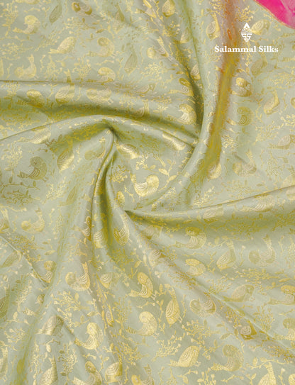 Beautiful Pista Green Bridal Pure Kanjivaram Silk Saree With Contrast Pink Traditional Evening Morning Border