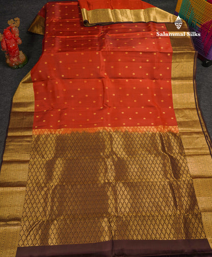 Beautiful Rust Orange Puremix Silk Saree With Contrast Brown Traditional Border