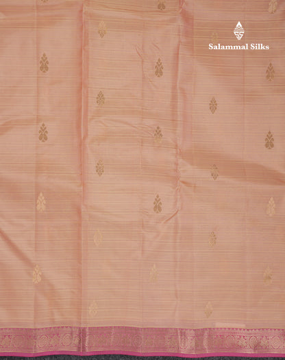 Beautiful Peach Puremix Silk Saree With Contrast Baby Light Traditional Small Border