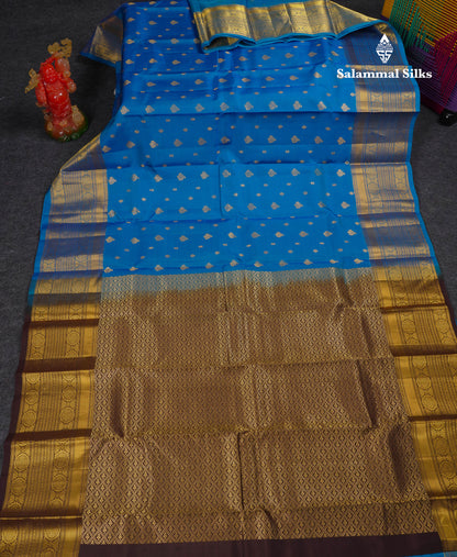 Beautiful Blue Puremix Silk Saree With Contrast Dark Brown Blouse