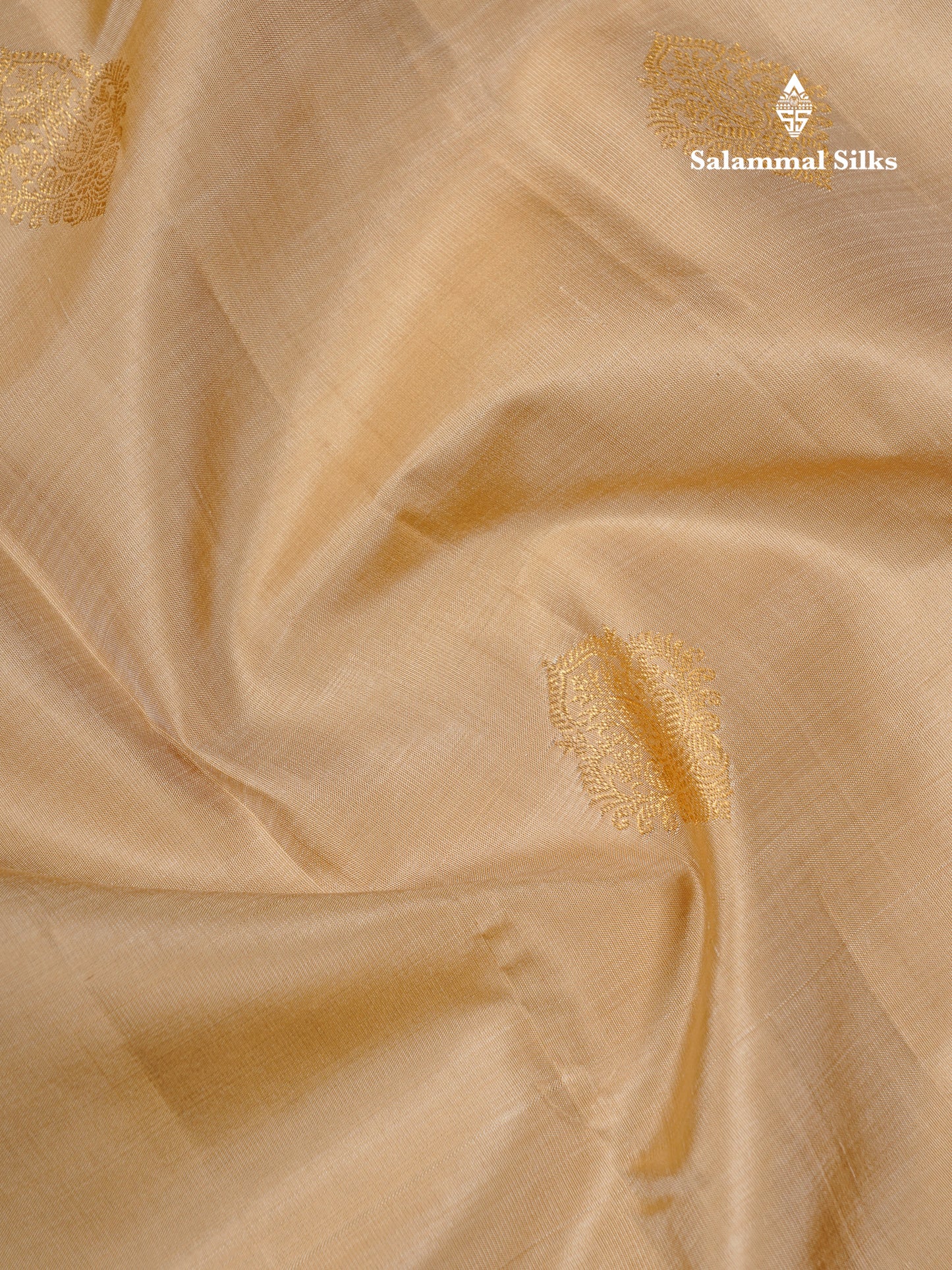 Korvai Beige Pure Kanjivaram Silk Saree With Contrast Dark Purple Traditional Border