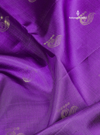 Kanjivaram Beautiful Violet Pure Soft Silk Saree With Contrast Fancy Border