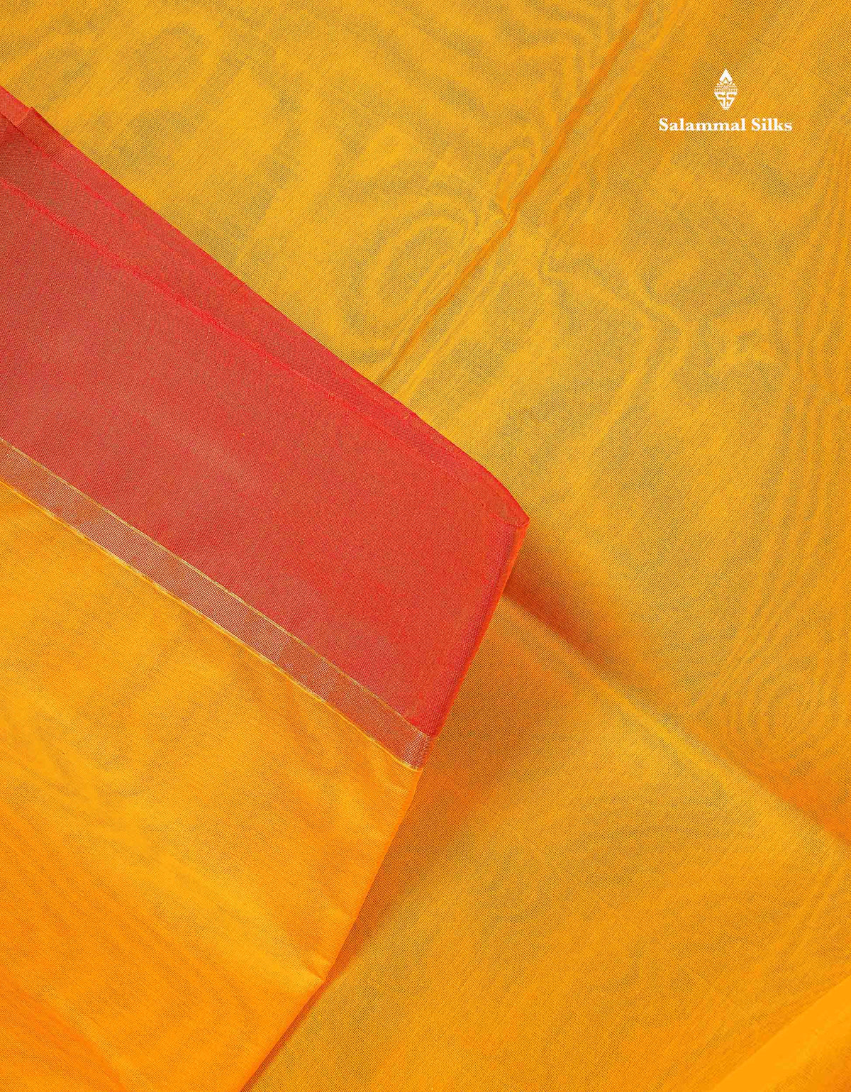 Pure Cotton Saree - Teal Blue Colour Body Thread Work Butta With Dual Tone Maroon Plain Border