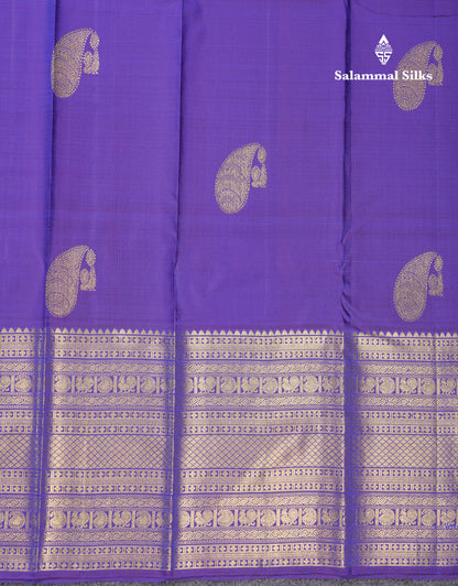Dual Tone Violet Pure Kanjivaram Silk Saree With Traditional Evening Morning Border