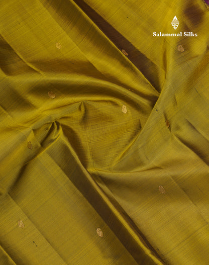 Beautiful Dual Tone Manthulir Green Pure Kanjivaram Silk Saree With Contrast Rani Pink Traditional Small Border