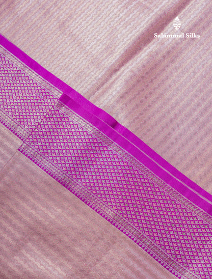 Beautiful Baby Pink Tissue Silk Mix Saree With Contrast Vadamalli Traditional Pallaku Evening Morning Border