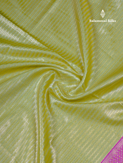 Beautiful Baby Pink Tissue Silk Mix Saree With Contrast Vadamalli Traditional Pallaku Evening Morning Border