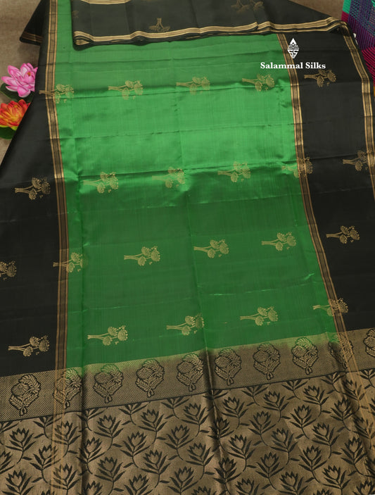 Green Beautiful Kanjivaram Pure Soft Silk Saree With Contrast Black Border