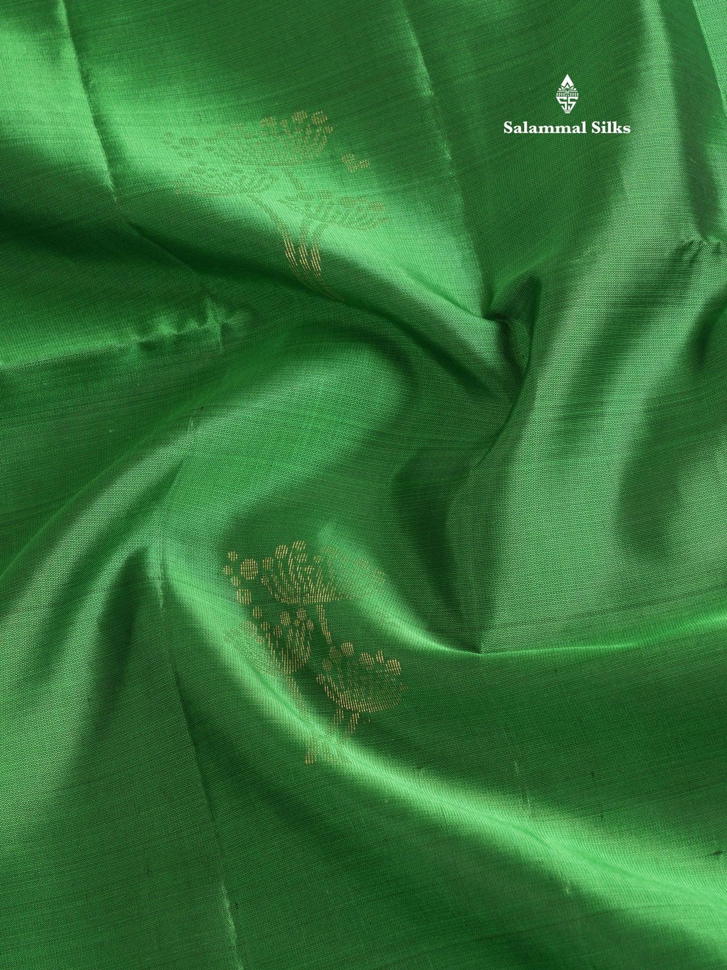 Green Beautiful Kanjivaram Pure Soft Silk Saree With Contrast Black Border