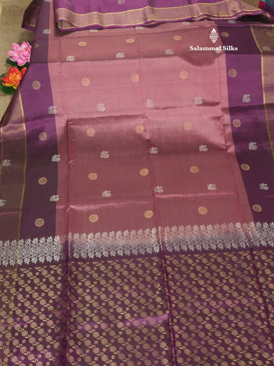 Beautiful Light Chocolate Kanjivaram Pure Soft Silk Saree With Contrast Violet Double Border