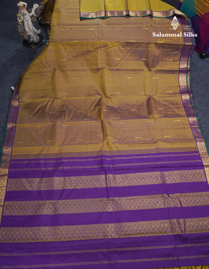 Olive Mustard Yellow Pure Kanjivaram Silk Saree With Contrast Dark Purple Small Traditional Border