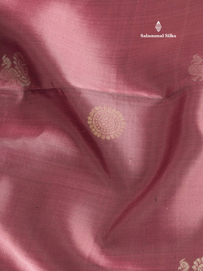 Beautiful Light Chocolate Kanjivaram Pure Soft Silk Saree With Contrast Violet Double Border