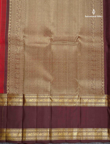 Pure Kanjivaram Silk Saree - Dark Maroon Colour Body With Contrast Dark Brown Traditional Evening Morning Border