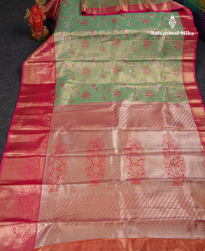 Beautiful Light Green Tissue Semi Silk Saree With Contrast Pink Traditional Evening Morning Border