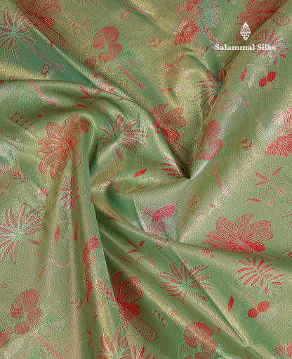 Beautiful Light Green Tissue Semi Silk Saree With Contrast Pink Traditional Evening Morning Border