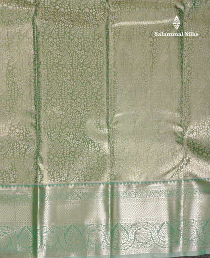 Beautiful Light Green Tissue Semi Silk Saree With Contrast Moss Green Traditional Evening Morning Border