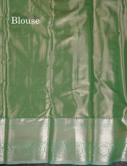 Beautiful Light Green Tissue Semi Silk Saree With Contrast Moss Green Traditional Evening Morning Border