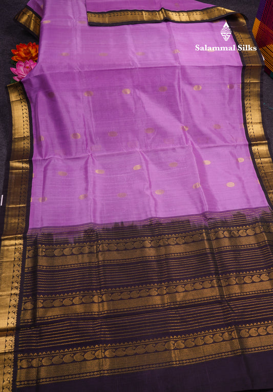 Lavender Pure Silk Cotton Saree With Contrast Black Border