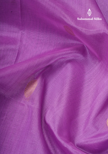 Lavender Pure Silk Cotton Saree With Contrast Black Border