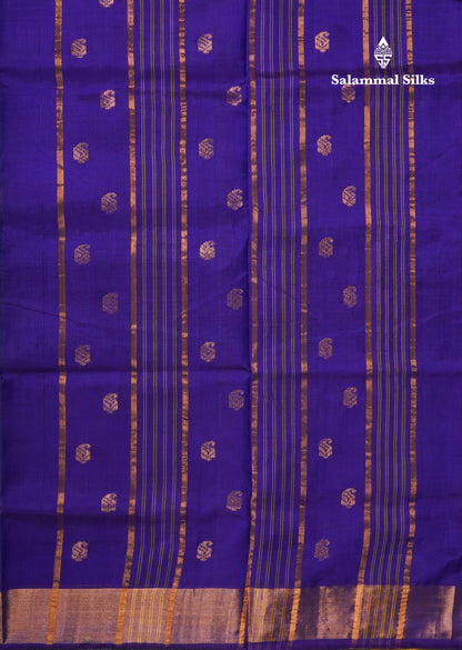 Paalum Pazham Checks Pure Silk Cotton Saree With Gold Zari Border