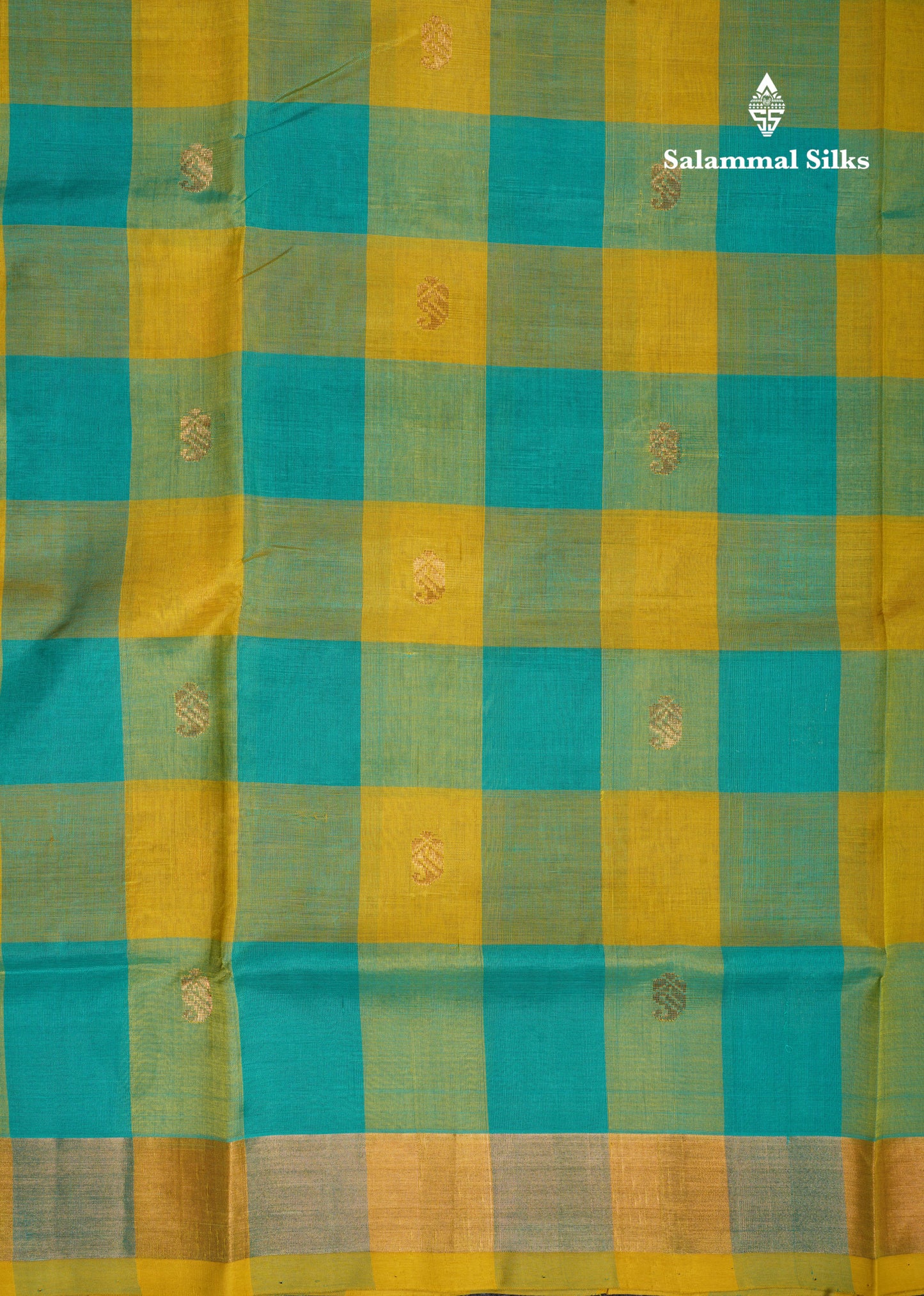 Paalum Pazham Checks Pure Silk Cotton Saree With Gold Zari Border