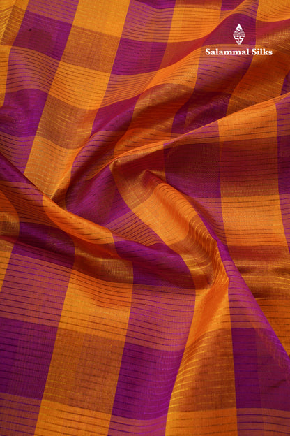 Paalum Pazham Checks Pure Silk Cotton Saree With Gold Zari Border