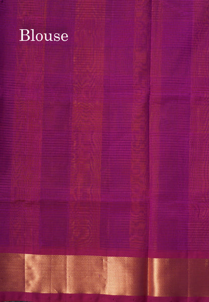 Paalum Pazham Checks Pure Silk Cotton Saree With Gold Zari Border