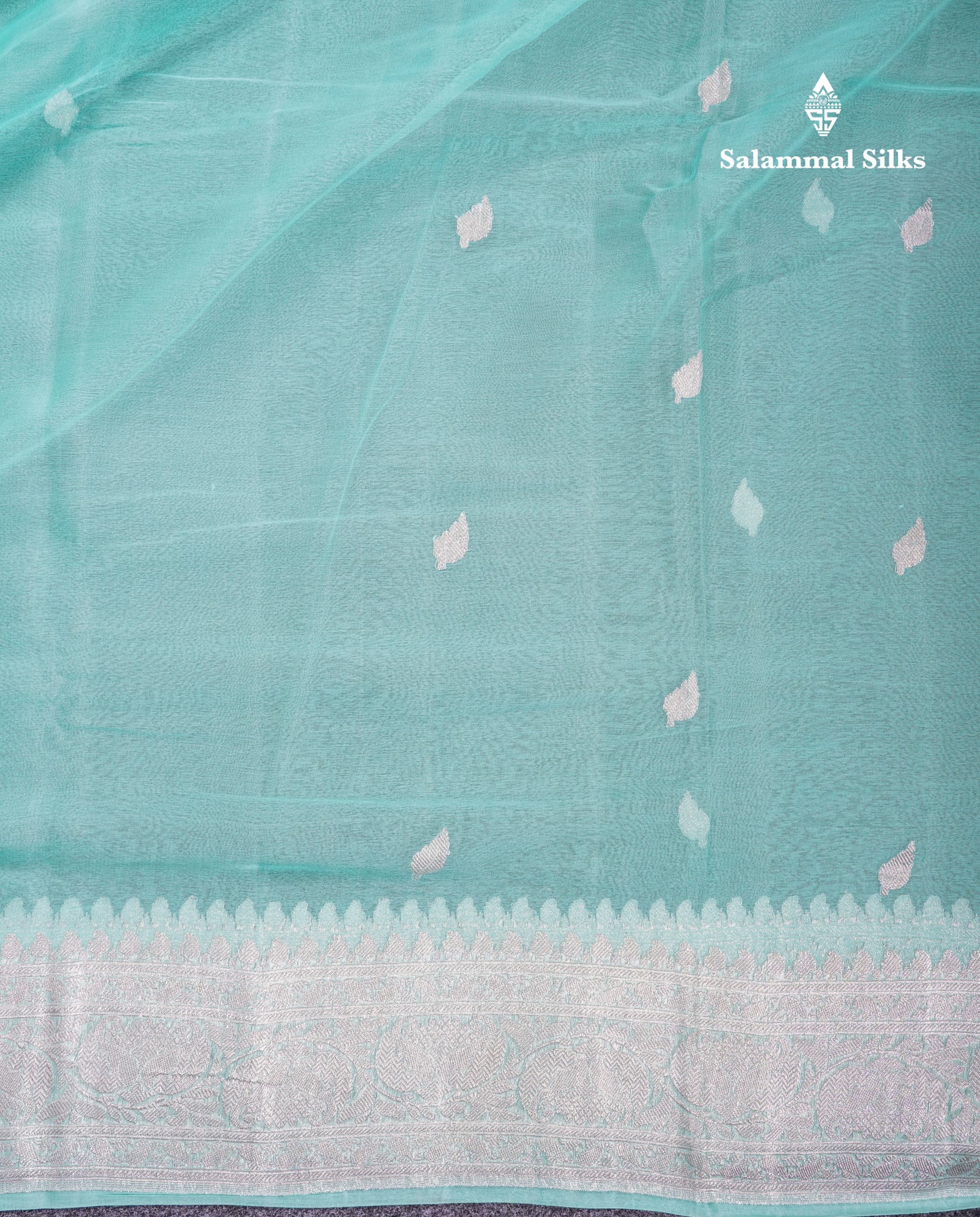 Beautiful Sea Blue Handloom Banaras Pure Chiffon Saree With Fancy Border