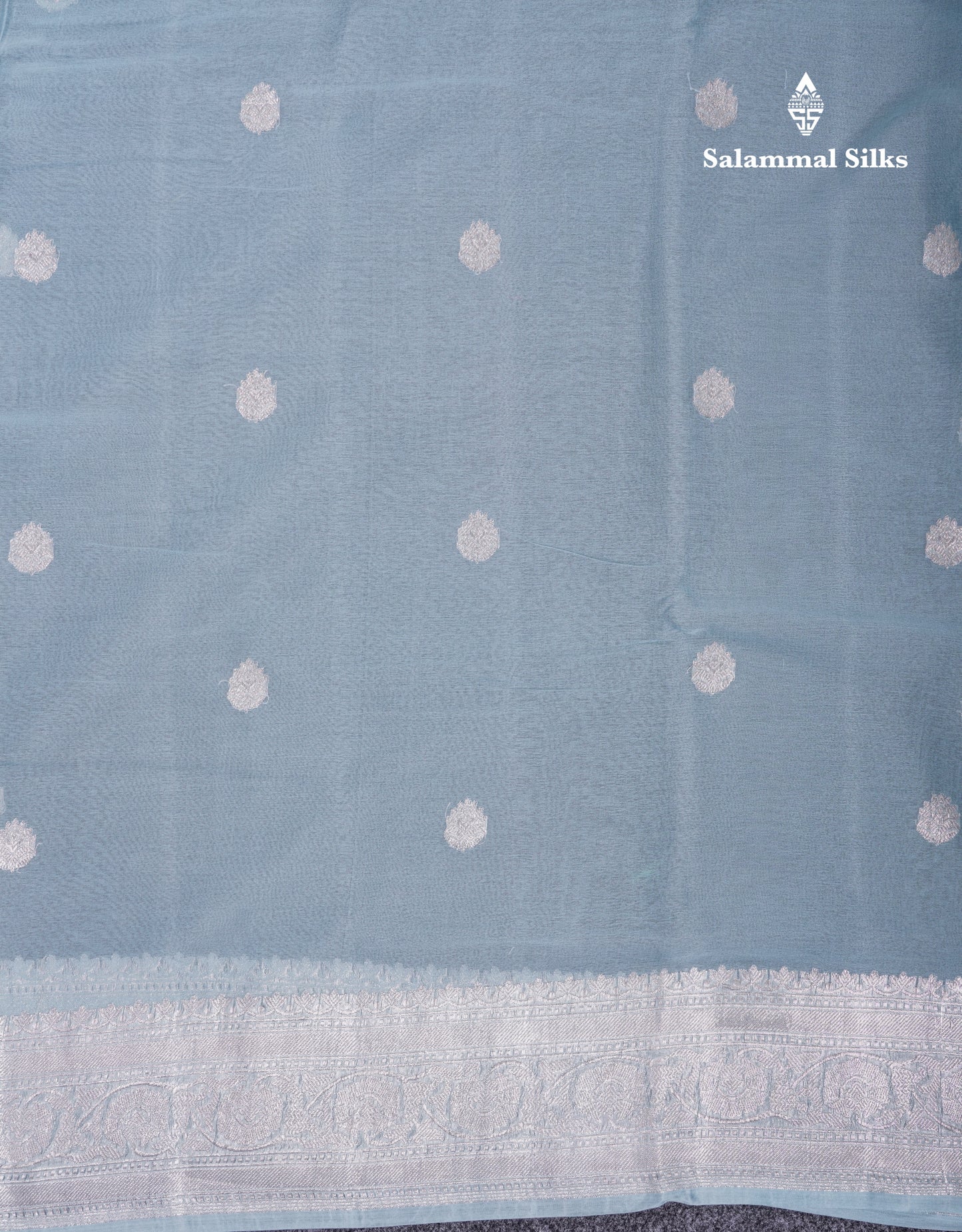 Beautiful Pastel Blue Handloom Banaras Pure Chiffon Saree With Fancy Border