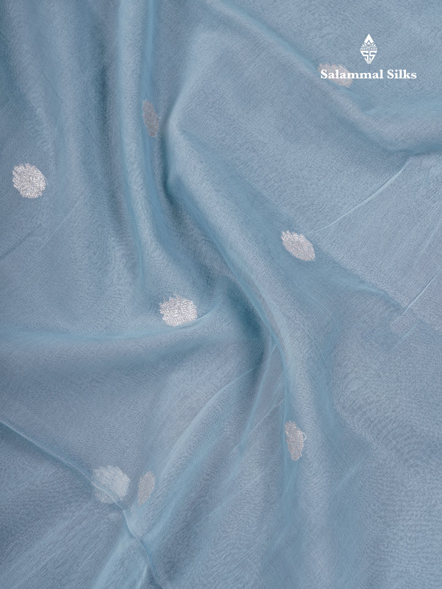 Beautiful Pastel Blue Handloom Banaras Pure Chiffon Saree With Fancy Border
