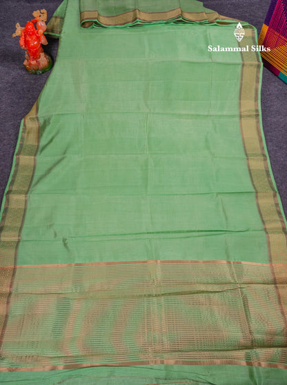 Beautiful Pista Green Plain Semi Raw Silk Saree With Fancy Border