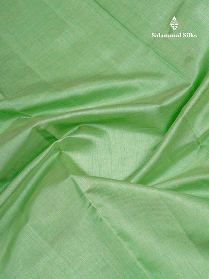 Beautiful Pista Green Plain Semi Raw Silk Saree With Fancy Border
