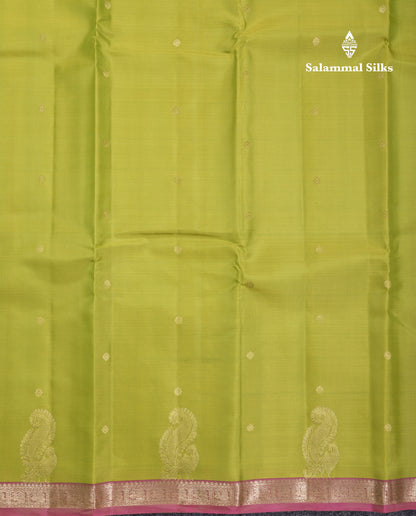 Beautiful Parrot Green Pure Kanjivaram Silk Saree With Contrast Dual Tone Pink Small Border