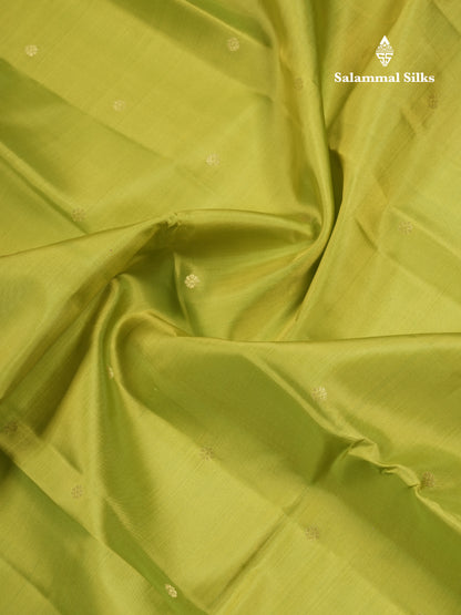 Beautiful Parrot Green Pure Kanjivaram Silk Saree With Contrast Dual Tone Pink Small Border