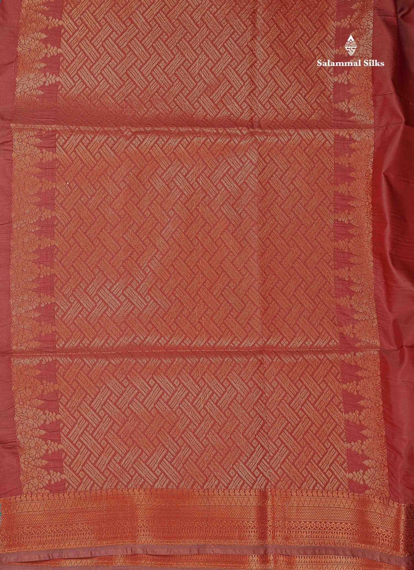 Beautiful Light Blue Semi Soft Silk Saree With Contrast Chocolate Blouse