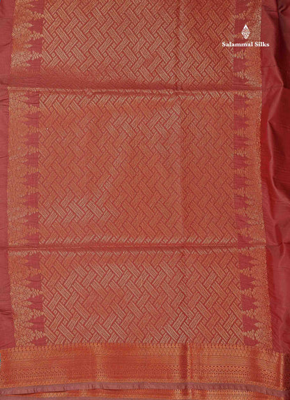 Beautiful Light Blue Semi Soft Silk Saree With Contrast Chocolate Blouse