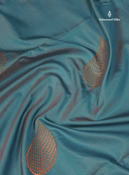 Beautiful Light Blue Semi Soft Silk Saree With Contrast Chocolate Blouse