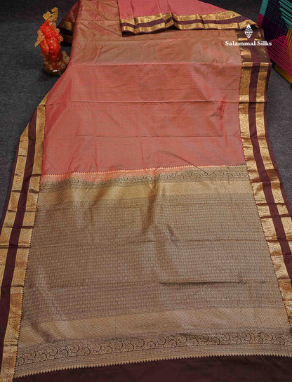 Beautiful Chocolate Zari Lines Semi Silk Saree With Contrast Dark Brown Traditional Gap Border