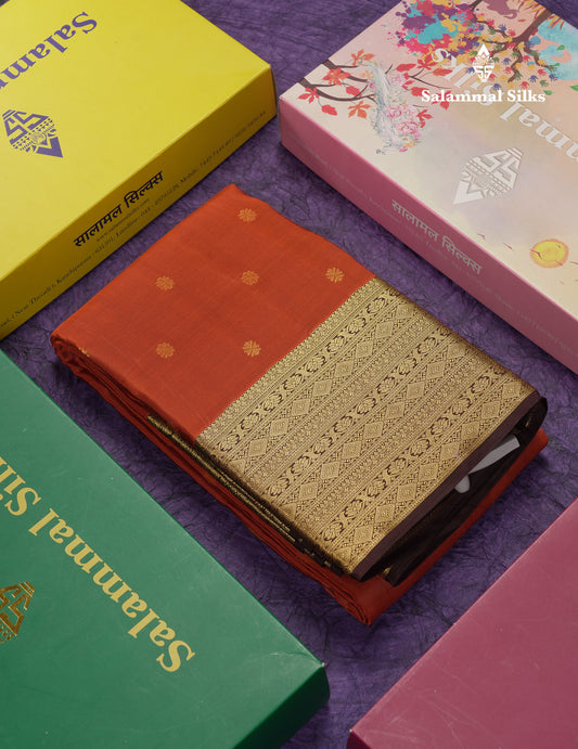 Beautiful Rust Orange Puremix Silk Saree With Contrast Brown Traditional Border