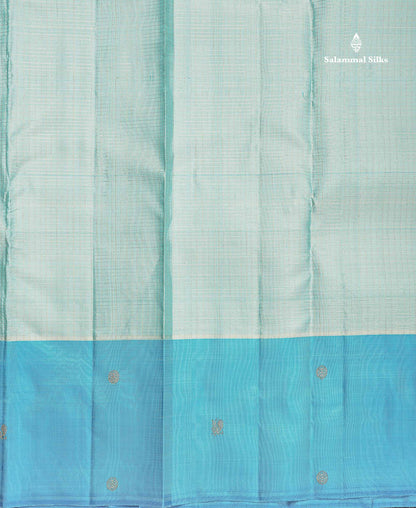 Pure Kanjivaram Silk Saree - Sea Blue Colour Body Checks With Contrast Ananda Blue Fancy Border