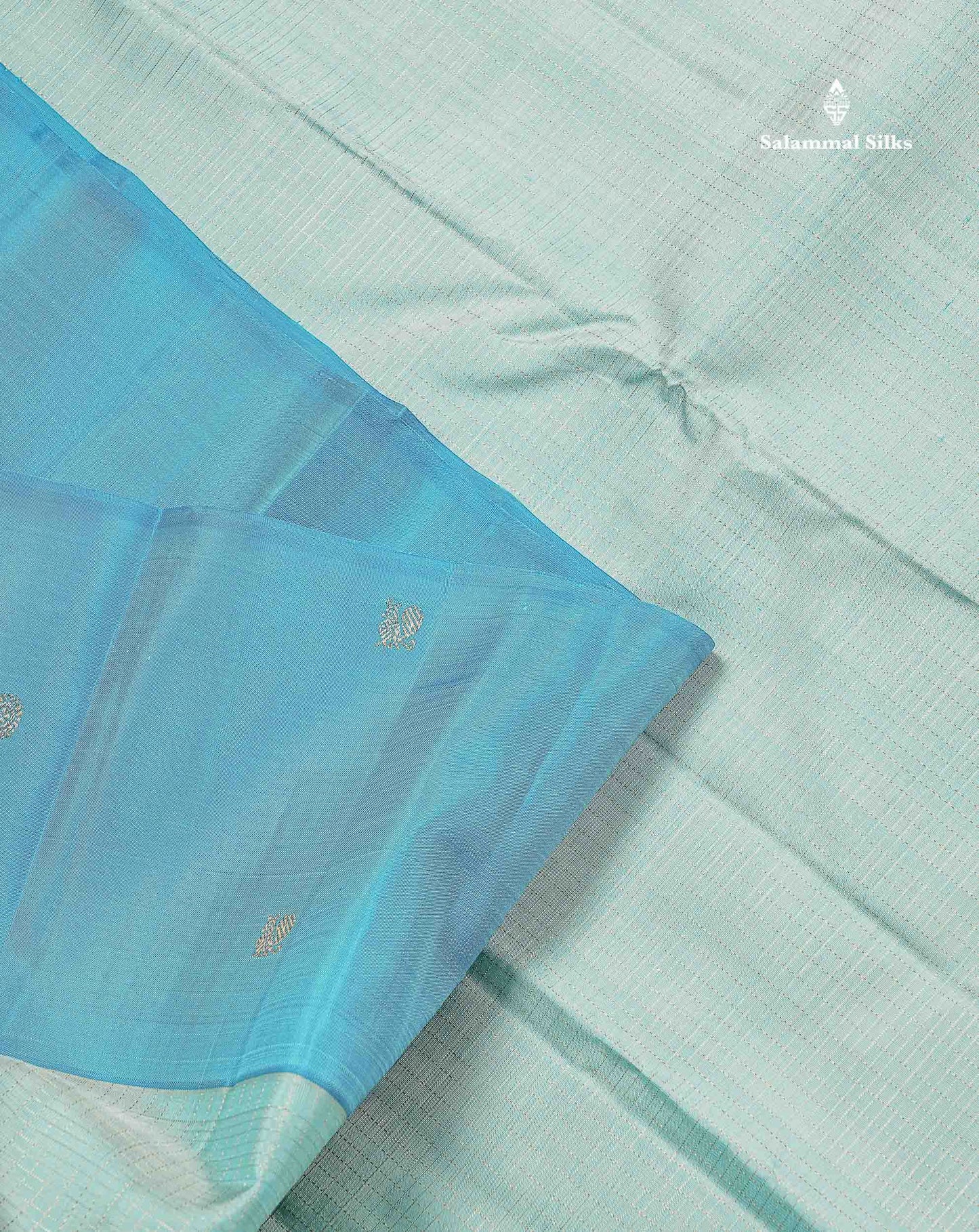 Pure Kanjivaram Silk Saree - Sea Blue Colour Body Checks With Contrast Ananda Blue Fancy Border