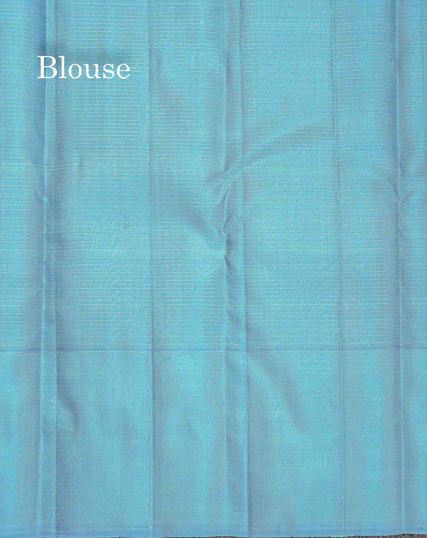 Pure Kanjivaram Silk Saree - Sea Blue Colour Body Checks With Contrast Ananda Blue Fancy Border